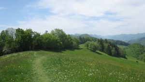 Panorama 300x170