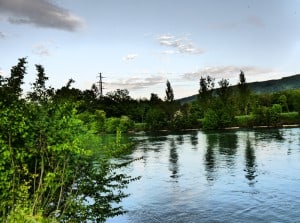 Aare 2 300x223