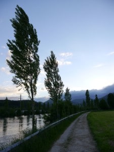 Aare 225x300