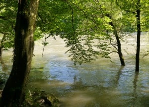 Hochwasser 5 300x216