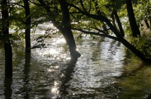 Hochwasser 8 300x197
