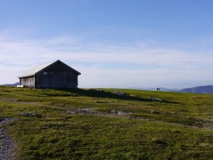 P1050610 300x225