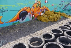 image11 300x203