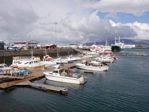 image9 300x225